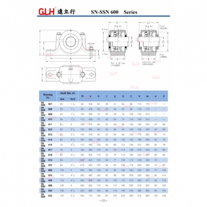 SN-SSN 600 Series_page-0001-1.jpg