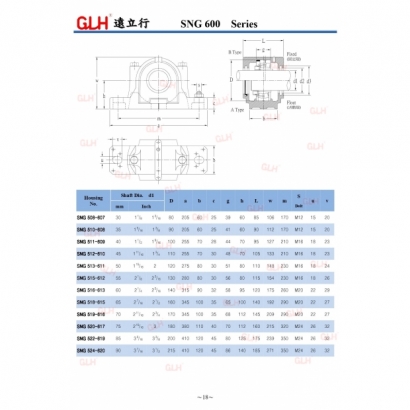 SNG 600 Series_page-0001-1.jpg