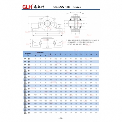 SN-SSN 300 Series_page-0003.jpg