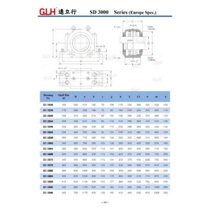 SD 3000 Series_page-0001-1.jpg