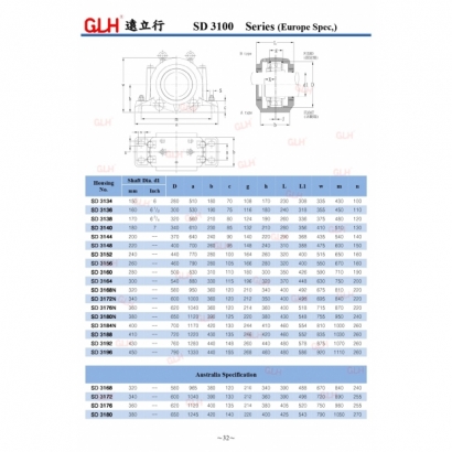 SD 3100 Series_page-0003-1.jpg